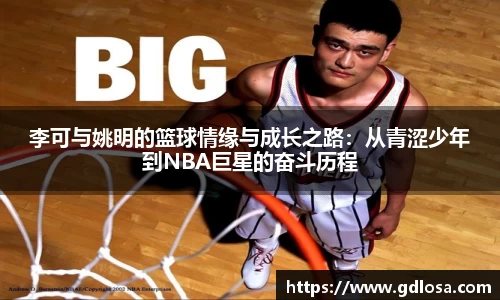 QY球友会体育官方网站